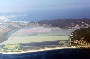 En la imagen, una vista aérea de las Salinas de Eivissa. Foto: Matthias Prinke (Wikipedia)