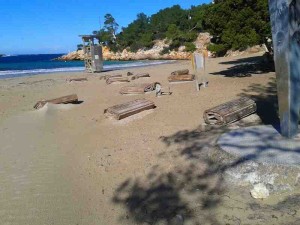 Imatge de la platja de s'Arenal Gros de Portinatx, plena de brutor. Fotos: PSOE Sant Joan.