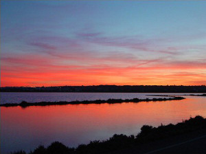 La sequía del año pasado ha ocasionado la proliferación de mosquitos en s'Estany Pudent. Foto: formenteraweb.com