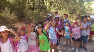 Los más pequeños disfrutan mucho con las excursiones organizadas por los monitores. 