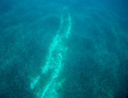 En la imagen, una marca de garreo dejada por el arrastre de un ancla sobre la pradera de posidonia.  Foto: OceanSnell