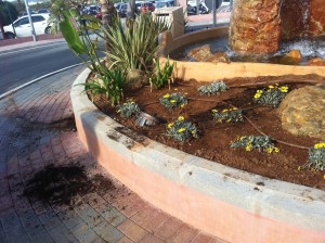 Rastro del desentierro de las plantas Foto: Nahuel L.A. 