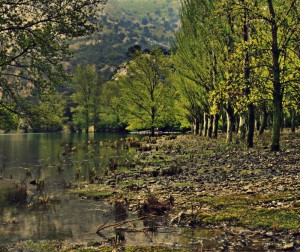 Imatge escollida com a millor Fotografia del Concurs, que mostra una panoràmica de Gorg Blau (Paratge Natural de la Serra de Tramuntana), obra de Jordi Amengual