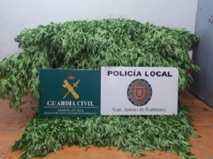 Imagen de la marihuana incautada. Foto: Guardia Civil.