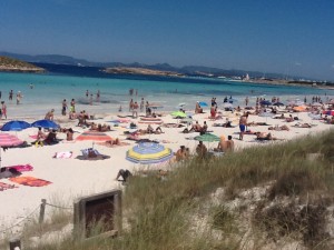 La playa de Illetes, en Formentera, ha tenido que colgar el cartel de alerta por medusas en varias ocasiones durante este verano.  Foto: PyP