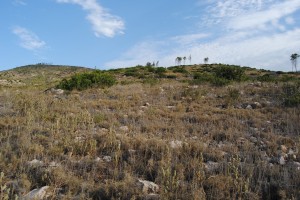 Imatge de la serra dels Amunts, proper a la punta Xarraca.