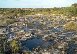 Imagen de la Bassa de Formentera