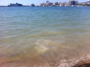 Las aguas turbias con el skyline de Sant Antoni al fondo.