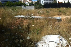 Imagen de uno de los solares en estado de abandono