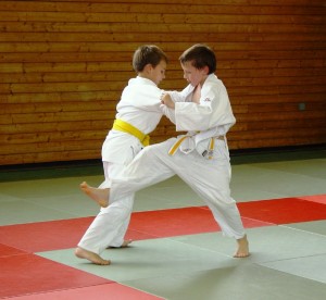 Aquest dissabte i diumenge se celebra el V Curs Nacional de Katas de Judo.