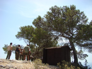 Durante el curso se ha mejorado el estado de una superficie quemada de 20 hectáreas en Sant Joan