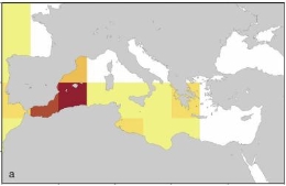 Zonas del Mediterráneo donde más se pesca con palangre. Imagen: Universitat de Barcelona.