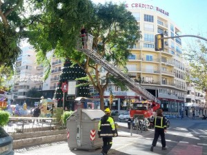 Los bomberos, en plena acción en el cenrto de Vila por una rama que amenazaba caer sobre los transeúntes