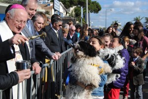 El Obispo Juan Segura bendice uno de los animales de Sant Antoni