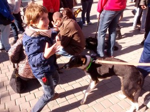 Imatge d'arxiu d'una jornada d'adopció. 