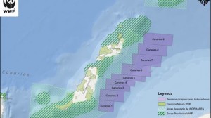 Mapa de las prospecciones petrolíferas en Canarias. Imagen: WWF.