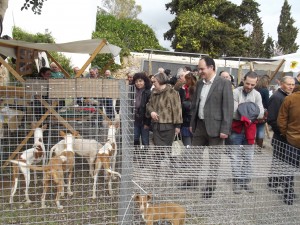 Imatge de les Festes de l'any passat