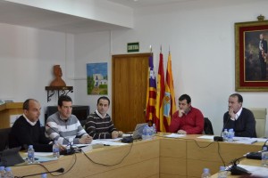 Pleno del Consell Insular de Formentera