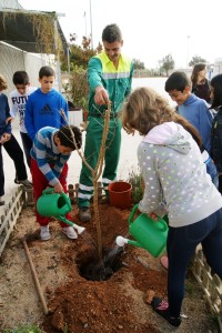 Un operario de la empresa Mespisa enseña a plantar un árbol a varios alumnos.