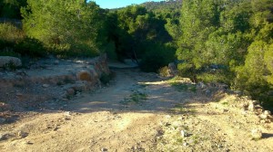 Una imatge de les suposades obres al camí de s'Estanyol que va denunciar l'oposició. Foto: PSOE-Pacte.