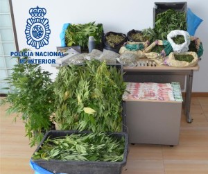 Imagen de la droga encontrad en la casa del detenido