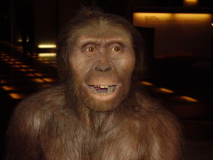 Imagen de un Australopithecus afarensis, el perfecto contrincante de Cañete en un debate.  Foto: 1997 (Wikipedia)