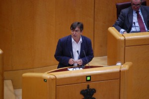 El senador Francesc Antich durante su intervención. Foto: PSOE.