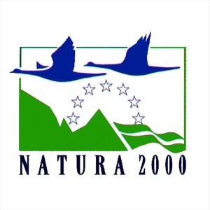 Logotipo de la Red Natura 2000, la red ecológica de áreas de conservación de la biodiversidad en la Unión Europea.