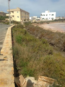 Un dels marges de la carretera on també s'ha actuat. Foto: Consell Insular de Formentera.