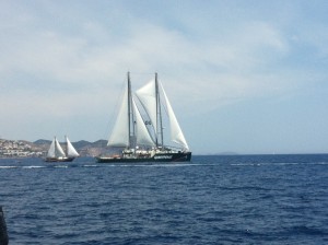 En la imagen, el Rainbow Warrior frente a las costas de Cap Martinet.  Foto: D. V. 