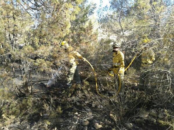 El incendio se ha declarado en una zona boscosa de Sant Agustí.  Foto: Twitter Ibanat (‏@ibanat_IB)