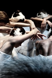 'El llac dels cignes' de Tchaikovsky un dels ballets més representats de la història de la dansa. Foto: Facebook Moscow Ballet RFB