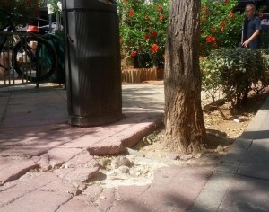 Jardinera hecha trizas en una de las esquinas de la plaza