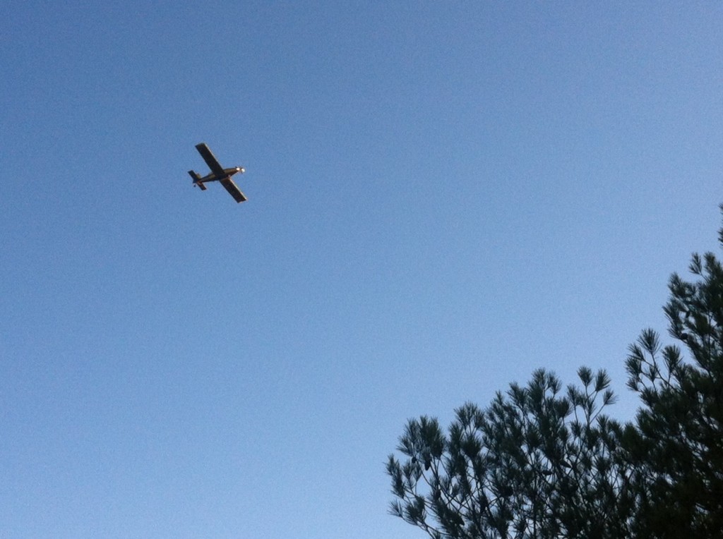 Uno de los hidroaviones desplegados en la operación. Foto: D.V.