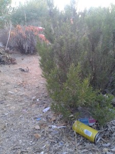 Latas y suciedad en sa Punta des Molí.