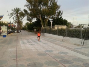 Imagen de la zona más próxima al puerto deportivo del Paseo Juan Carlos I.