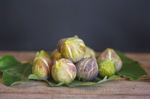 Actualment hi ha catalogades més de 700 varietats de figues al món. Foto: Marina Ribas Torres