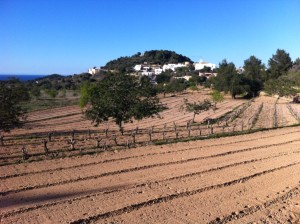 Paisatge rústic i, al fons, el nucli urbà de Sant Agustí. Foto: D.V.