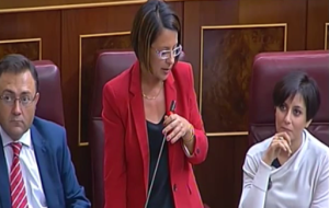 La diputada socialista Sofía Hernanz, durante una de sus intervenciones en el Congreso de los Diputados. Imagen: Canal Parlamento.