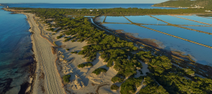 La playa de Es Cavallet mirada a través del objetivo de Jaime Brotóns. Foto: Jaime Brotóns