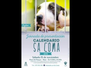 Imagen del calendario