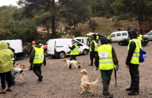 Varios de los participantes en el Campeonato de Baleares de caza menor con perros y becadas.