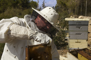 Imagen de un apicultor de Ibiza. Foto: Joan Costa