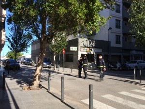 Los Bomberos de Eivissa revisan un árbol con riesgo de caída por el temporal de viento. Foto: L. A.