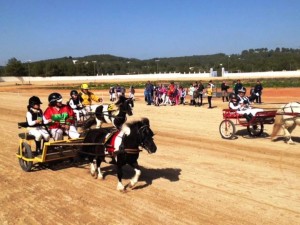 El curs de mini trot tindrà lloc en l'Hipòdrom de Sant Rafael durant els primers mesos de 2015.