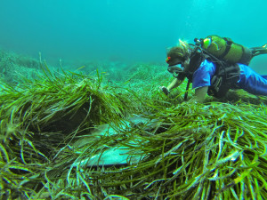 Una ancla dañando la posidonia de Talamanca, Foto: GEN