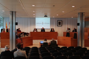 El pleno del Consell. Foto: Consell d'Eivissa