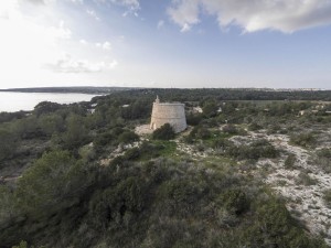 A la imatge, la Torre des Pi des Català, situada a la costa de Migjorn. 