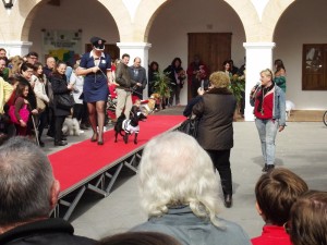 Una de las participantes con su mascota durante la Pasarela canina en Santa Eulària.