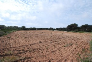 Imatge de la finca de Can Lluquinet. 